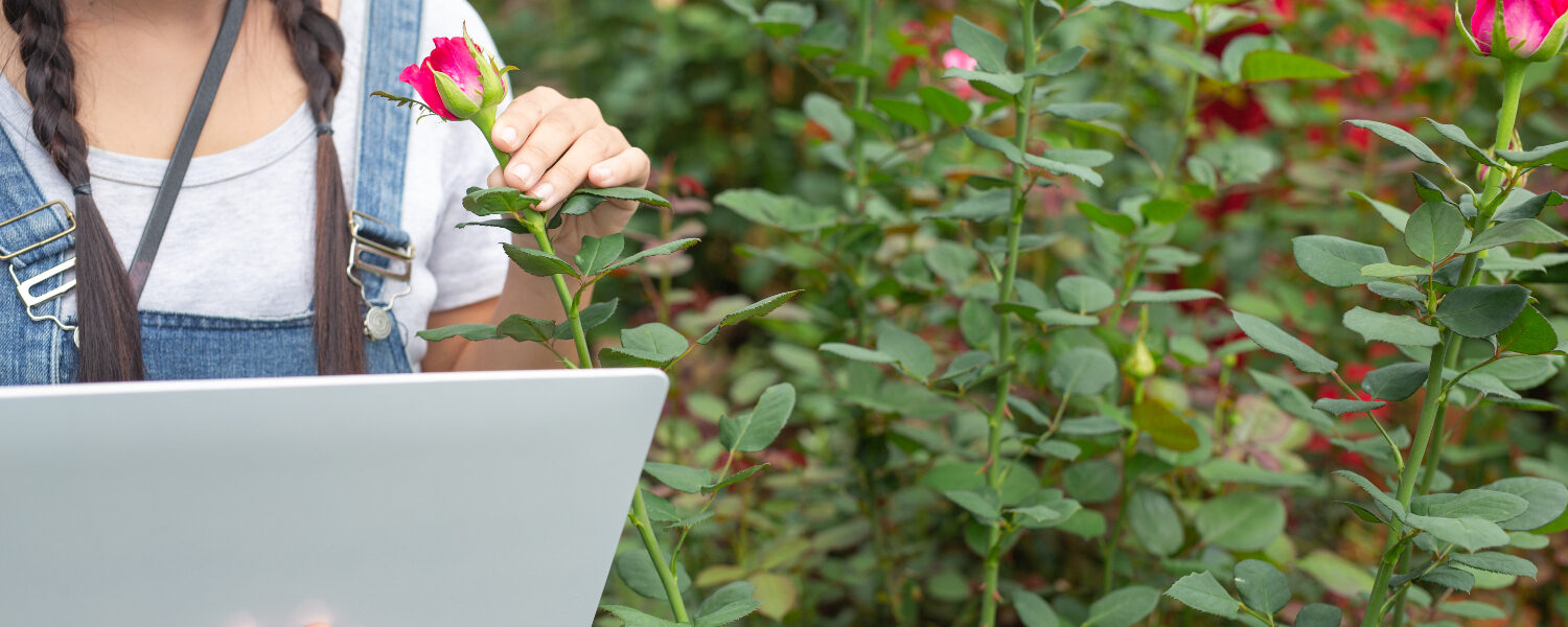 Análise de Dados para Identificar o Perfil do Consumidor de Floriculturas